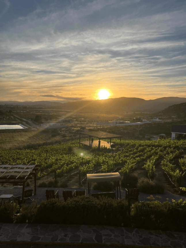 Siempre Valle in Valle de Guadalupe
